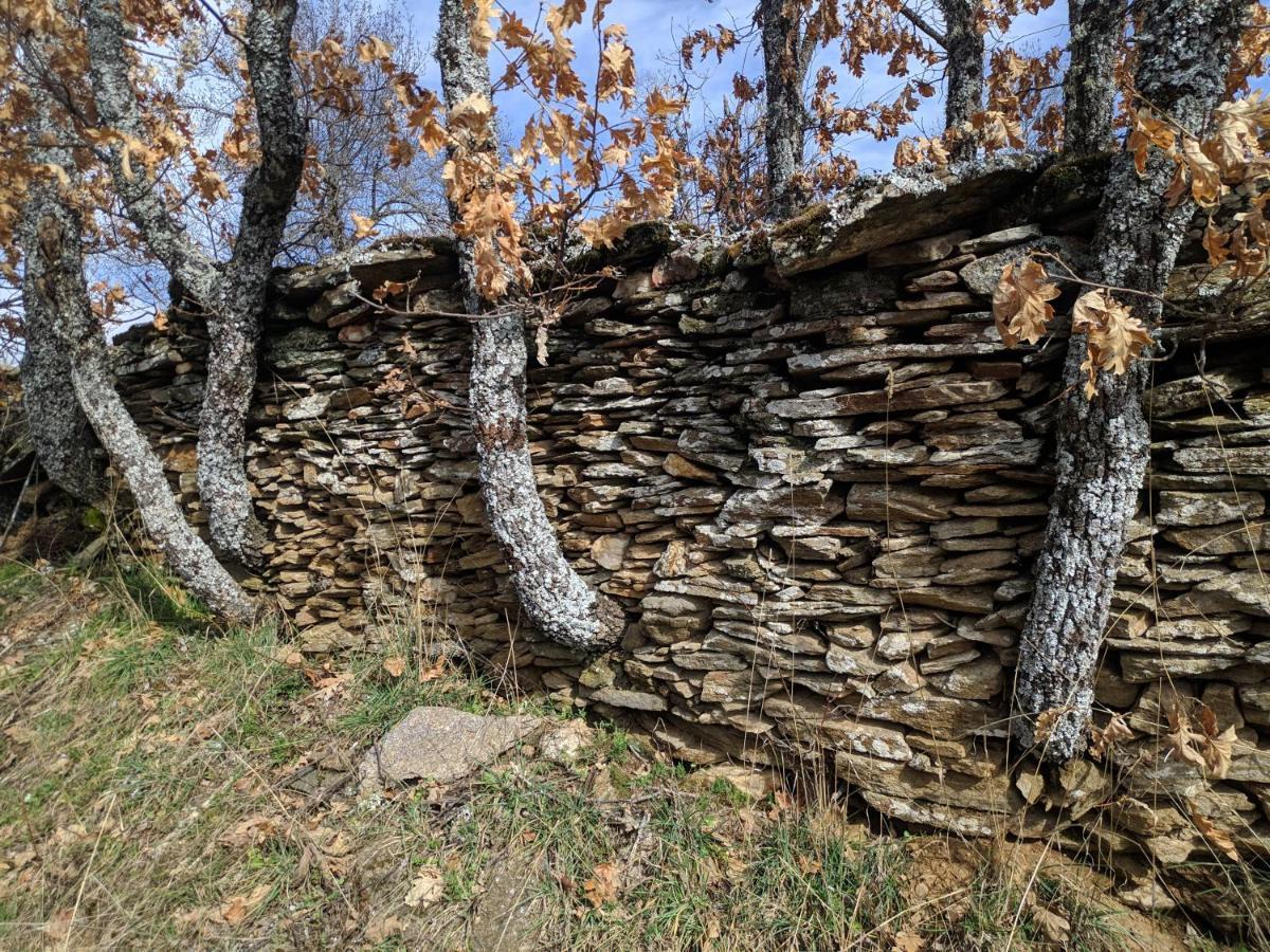 Casa Rural Fuente Del Arca Montejo มอนเตโค เด ลาเซียร์รา ภายนอก รูปภาพ